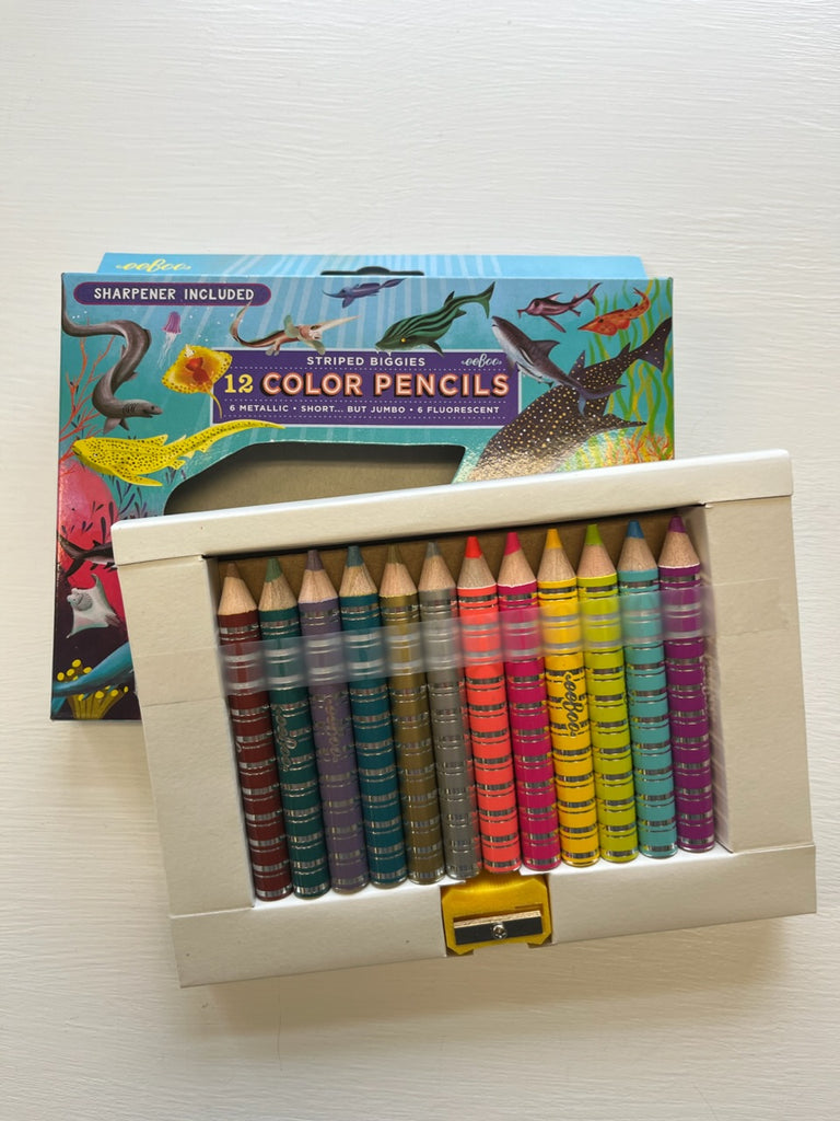 Color Pencil Set