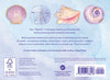 SHELL SHAPED NOTECARDS