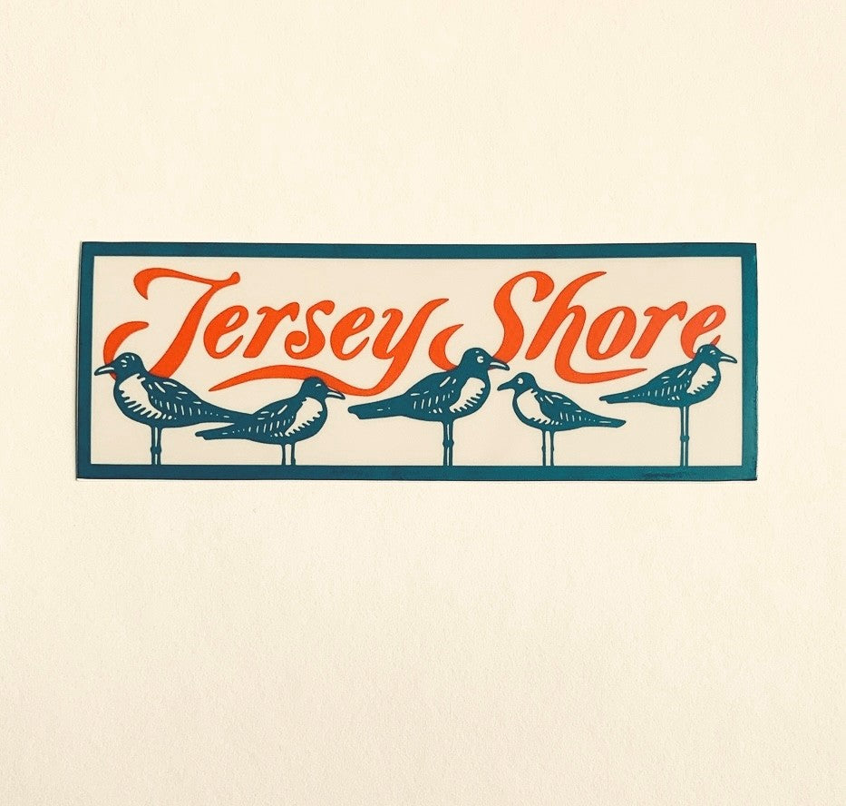 JERSEY SHORE BIRDS
