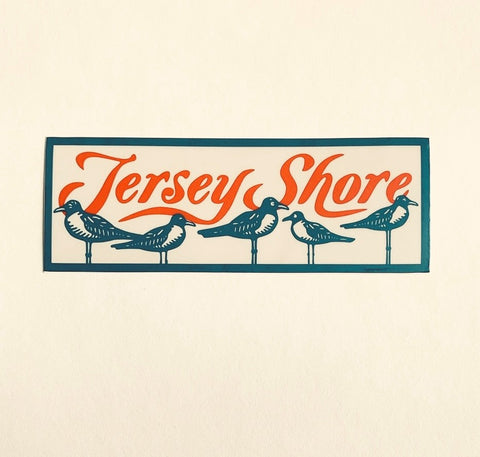 JERSEY SHORE BIRDS