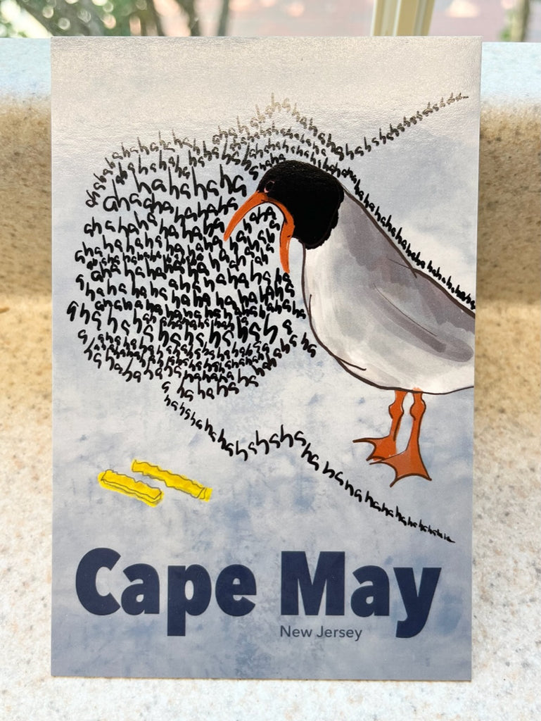 Cape May Seagull Postcard