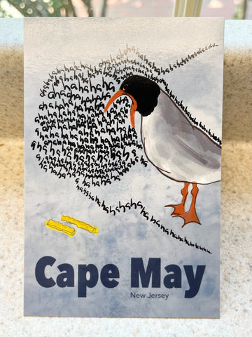 Cape May Seagull Postcard
