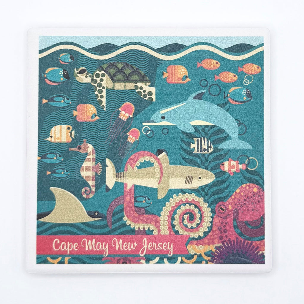 MARINE LIFE COASTER
