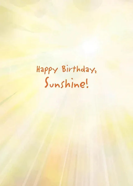 DAY WITHOUT SUNSHINE