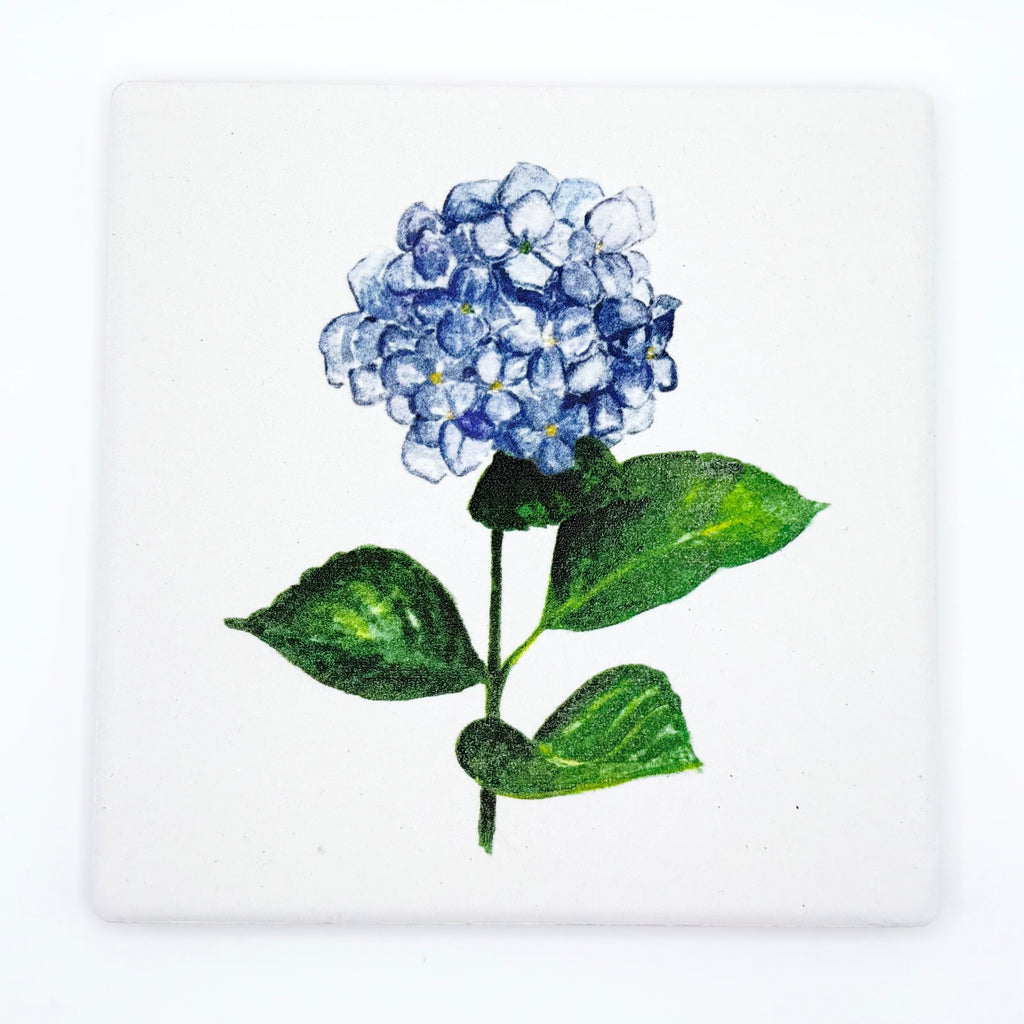 HYDRANGEA COASTER