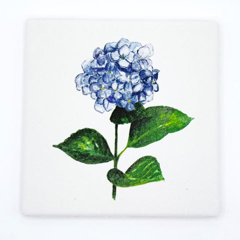 HYDRANGEA COASTER