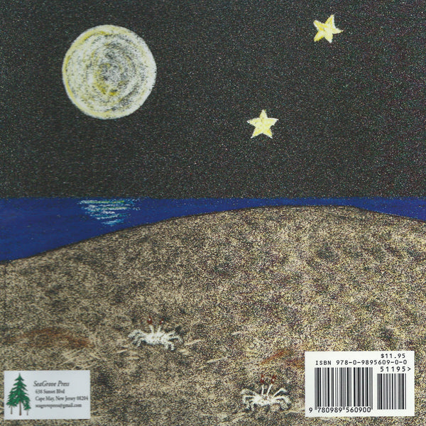 Nighttime on the Beach