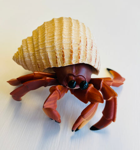 Hermit Crab