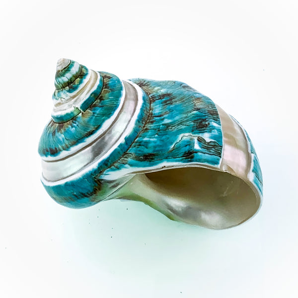 Jade Turbo Stripe Shell