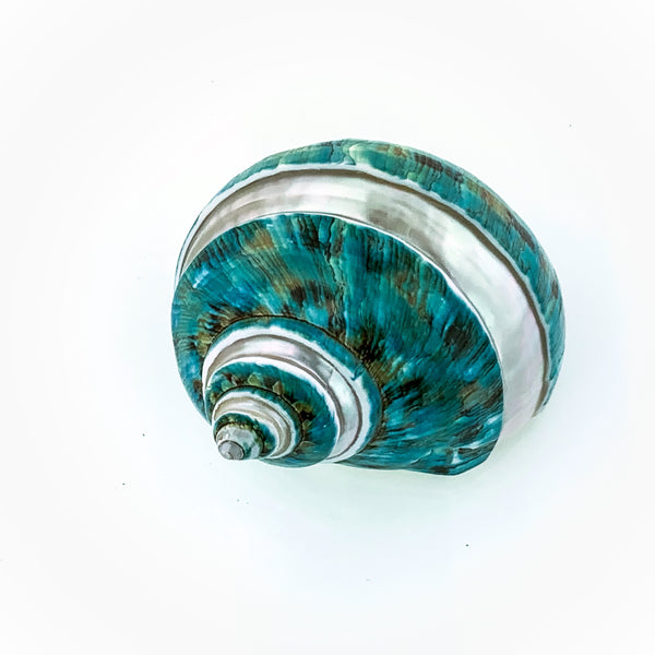 Jade Turbo Stripe Shell