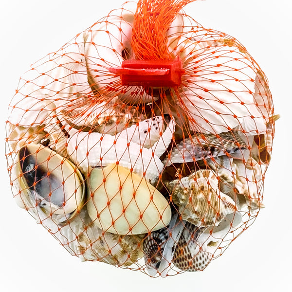 Assorted Shell Bag