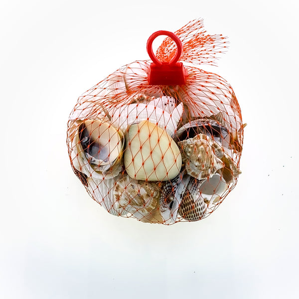 Assorted Shell Bag