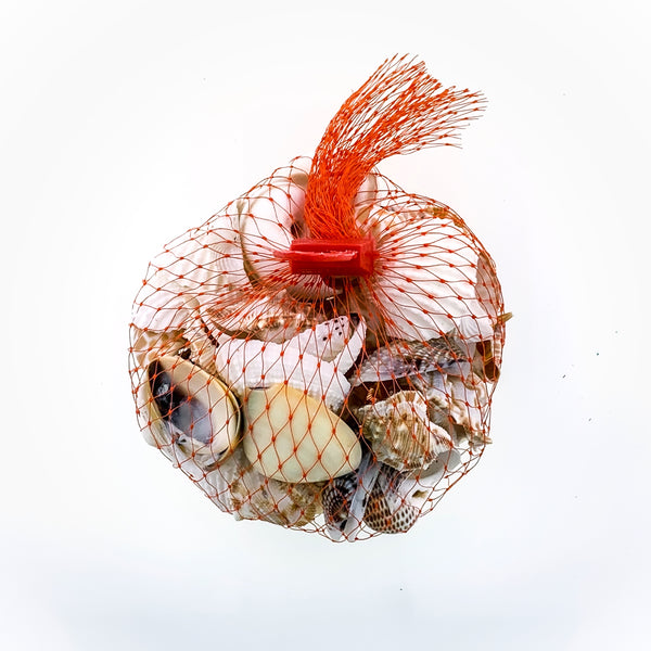 Assorted Shell Bag